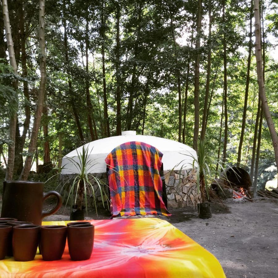 Cabanas Rucalhue Salto Del Laja Cabrero Zewnętrze zdjęcie